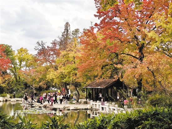 天平山秋色十分醉人。 天平山秋色十分醉人。