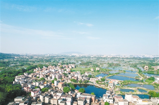 走进双桥村,连片的桑基鱼塘映入眼帘,随处可见粼粼波光。 走进双桥村,连片的桑基鱼塘映入眼帘,随处可见粼粼波光。