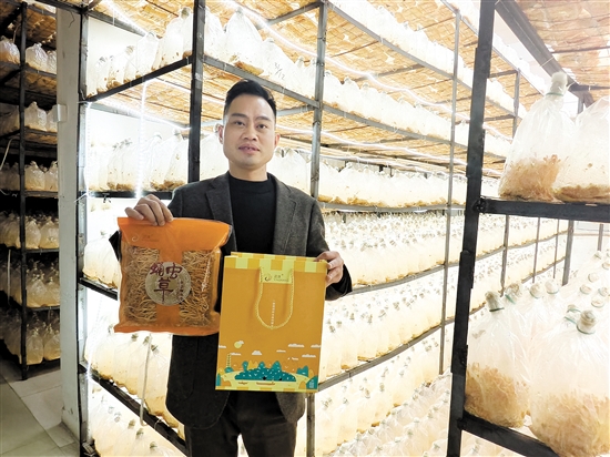 蛹虫草春节礼盒包装受到青睐。 蛹虫草春节礼盒包装受到青睐。