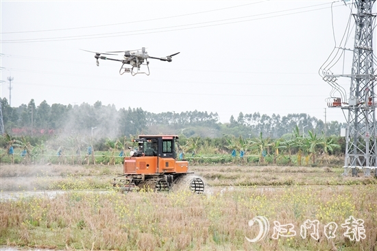 无人机、水旱耕作机协作开展春耕生产。 无人机、水旱耕作机协作开展春耕生产。