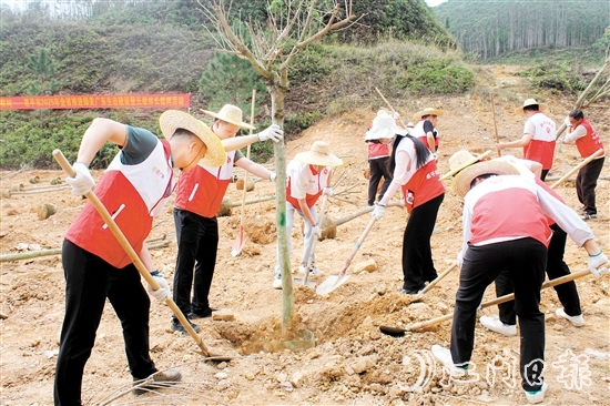 在植树活动中,大家挥锹培土,干劲十足,为恩平增添绿意,为全运会举办贡献自己的力量。 在植树活动中,大家挥锹培土,干劲十足,为恩平增添绿意,为全运会举办贡献自己的力量。