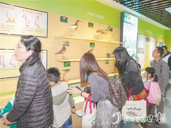 保护区宣教中心吸引不少市民前来参观。 保护区宣教中心吸引不少市民前来参观。