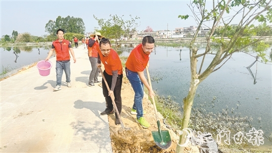 参加活动的人员种下一棵棵新绿。