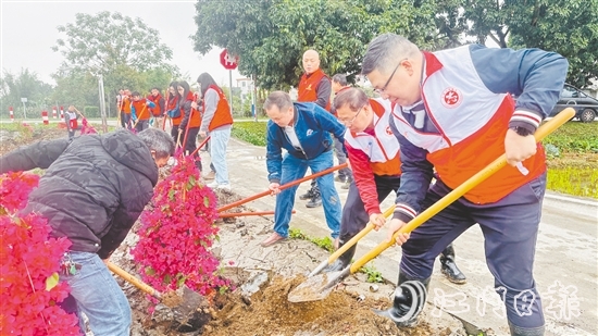 党员干部、村民代表合力栽下树苗，为公路沿线增添一抹生机。