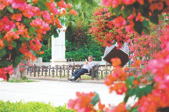 影视剧《棋士》曾在东湖公园取景。 影视剧《棋士》曾在东湖公园取景。