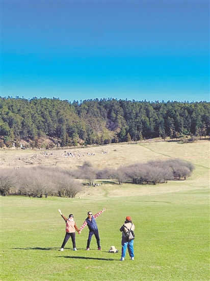仙女山国家森林公园十分治愈。 仙女山国家森林公园十分治愈。
