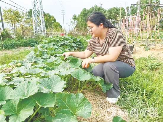 钱岗村村干部管好“党群同心园”。