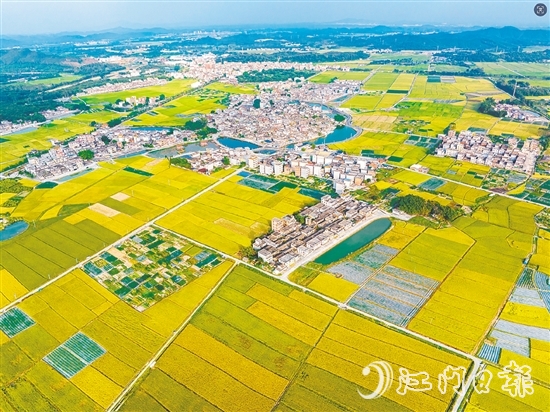 恩平土壤肥沃,富含“硒”元素,该市正努力推动让“硒”资源转化为富民强市的“硒”经济。图为恩平市牛江镇。 恩平土壤肥沃,富含“硒”元素,该市正努力推动让“硒”资源转化为富民强市的“硒”经济。图为恩平市牛江镇。