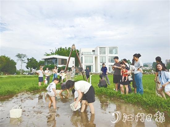近段时间,不少外地游客专门到恩平市簕菜文化创意园参与农耕活动。 近段时间,不少外地游客专门到恩平市簕菜文化创意园参与农耕活动。
