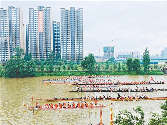 在长沙街道杜澄片区的苍江河畔,每逢端午时节,十余艘龙舟劈波斩浪,两岸人声鼎沸。 在长沙街道杜澄片区的苍江河畔,每逢端午时节,十余艘龙舟劈波斩浪,两岸人声鼎沸。