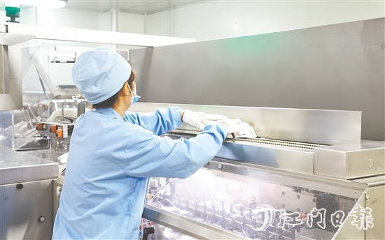 在生物医药产业领域，开平市聚焦生产制造端，在珠江西岸率先构建起“原料药—化药制剂—医疗器械—流通服务—终端需求”的垂直整合型产业生态。图为广东彼迪药业有限公司生产车间。