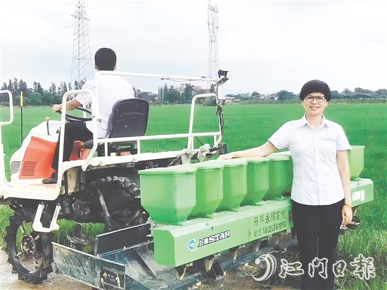 开平市永晖农机专业合作社联合社理事长陈小云