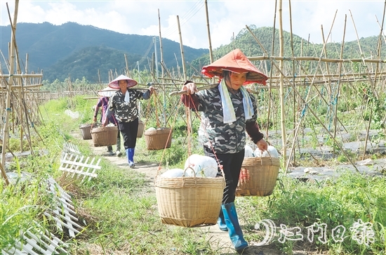 “潭碧冬瓜”地理标志专用标志的核准使用既是对潭碧冬瓜产品质量的高度认可，又有助于保护和传承地方特色产品。