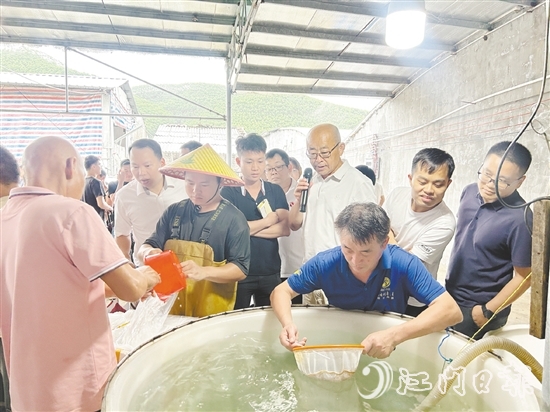 牛江镇定期开展技术下乡服务，提升养殖户技术水平。