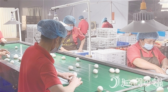 赤水镇现已形成集种鸭繁育、生态养殖、饲料供应、肉禽屠宰、蛋品加工、冷链物流于一体的完整产业链，产业总产值超5亿元。