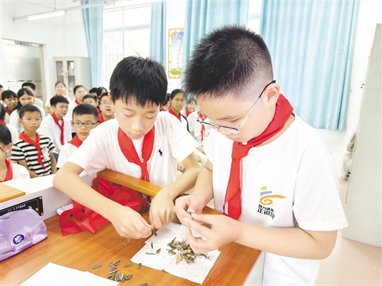 学生们两两配合，立即切换成“剥瓜子高手”模式。