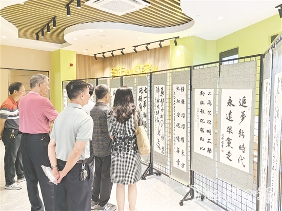 群众在恩平市党群服务中心参观展览。