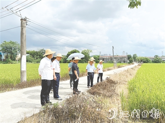 人大代表们到石青村视察典型村建设情况。