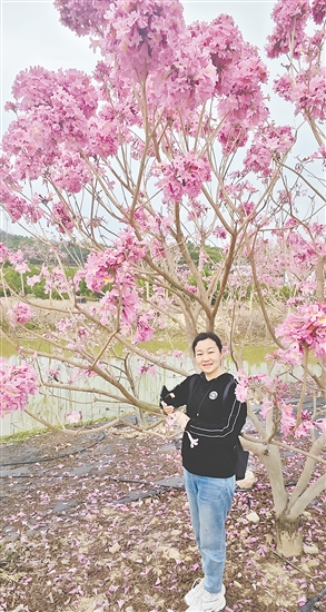 语文教师 语文教师