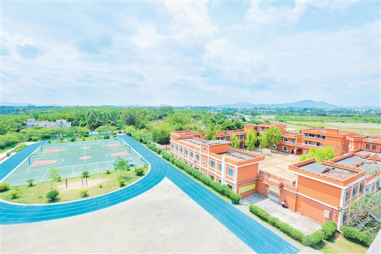 台山怡霖学校从最初的德星学堂到如今的现代化民办学校，见证了台山教育的发展历程。