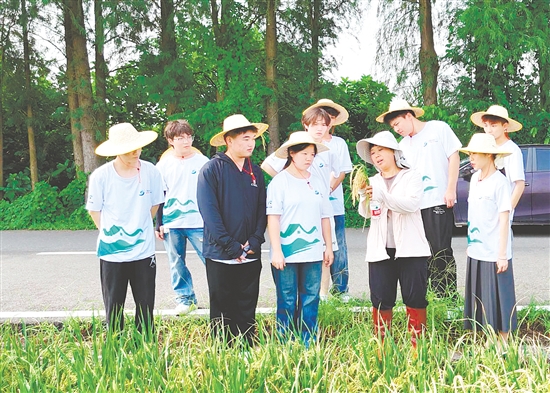 李苏红为队员们介绍水稻生长各个环节的特点与注意事项。