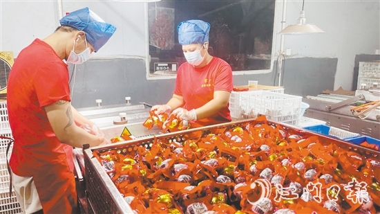 赤水镇依托麻鸭养殖传统优势，锚定“精深加工”做文章。