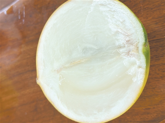 黄晶果的果肉晶莹剔透,甜度极高,口感宛如天然冰淇淋。 黄晶果的果肉晶莹剔透,甜度极高,口感宛如天然冰淇淋。