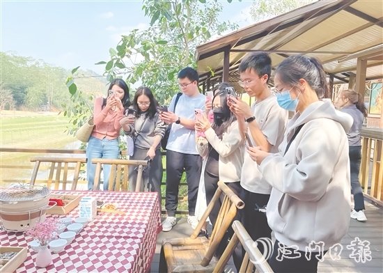 今年3月，开平市组织市重点自媒体走进大沙镇开展花海茶田系列采风活动。