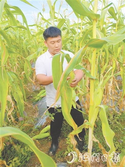 吴伟光的故事是新时代青年扎根乡土的生动注脚,也是乡村振兴大潮中万千返乡青年拼搏奋进的真实写照。 吴伟光的故事是新时代青年扎根乡土的生动注脚,也是乡村振兴大潮中万千返乡青年拼搏奋进的真实写照。