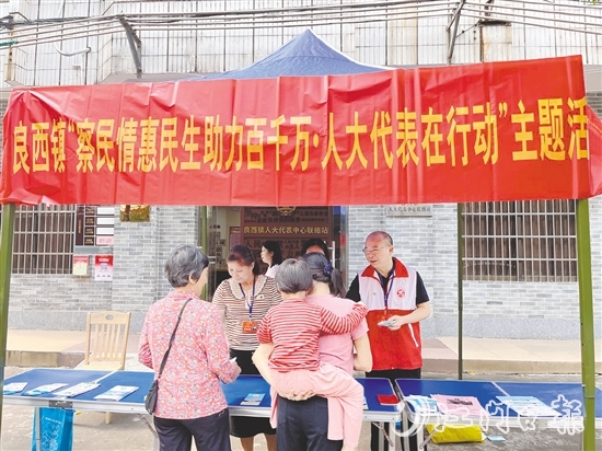 良西镇人大组织开展主题活动。