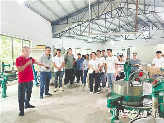 参训人员了解制茶关键环节。 参训人员了解制茶关键环节。