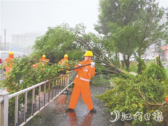 工作人员冒着风雨作业,清理倒伏树木。 工作人员冒着风雨作业,清理倒伏树木。