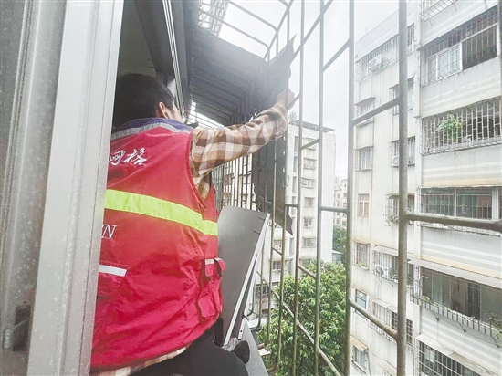 蓬江区育德社区网格员协助屋主及时将松动的铁皮挡雨板拆下,消除安全隐患。任佳燕 蓬江区育德社区网格员协助屋主及时将松动的铁皮挡雨板拆下,消除安全隐患。任佳燕