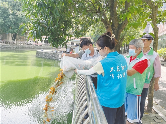 大家协力将“灭蚊鱼”投放到甘化新村的人工湖。 大家协力将“灭蚊鱼”投放到甘化新村的人工湖。