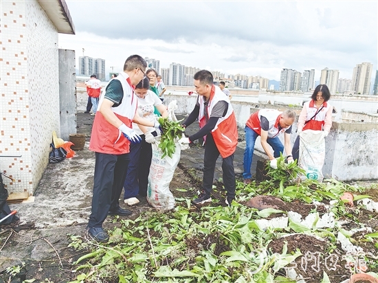 党员干部在老旧居民楼顶清理废弃花盆、杂物、乱生植物,不放过任何一个卫生死角。 党员干部在老旧居民楼顶清理废弃花盆、杂物、乱生植物,不放过任何一个卫生死角。