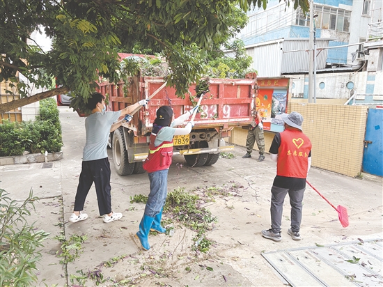 蓬江区在环市街道里村社区旧村片区开展攻坚行动。图为环境整治组工作人员清理野生绿植。任佳燕 蓬江区在环市街道里村社区旧村片区开展攻坚行动。图为环境整治组工作人员清理野生绿植。任佳燕