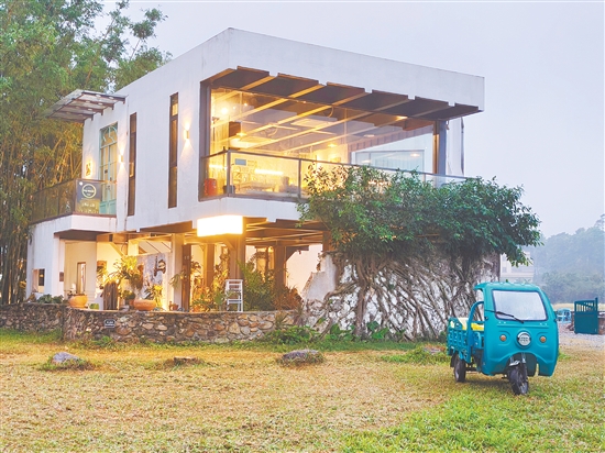 恩平市簕菜文化创意园风景别致。 恩平市簕菜文化创意园风景别致。