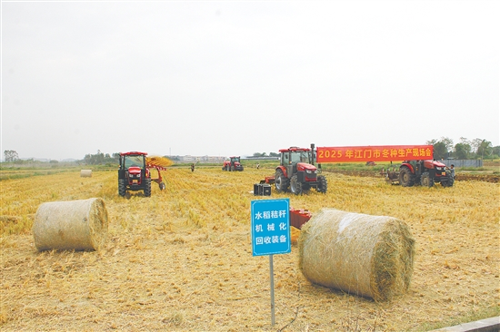 2025年江门市冬种生产现场会展示的农机主要来自恩平市社村合作农业发展有限公司，其中部分农机技术正在申报专利。