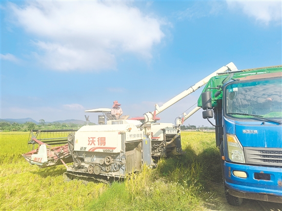 牛江镇农产品综合服务站可以为广大农户提供水稻种植全程社会化服务。