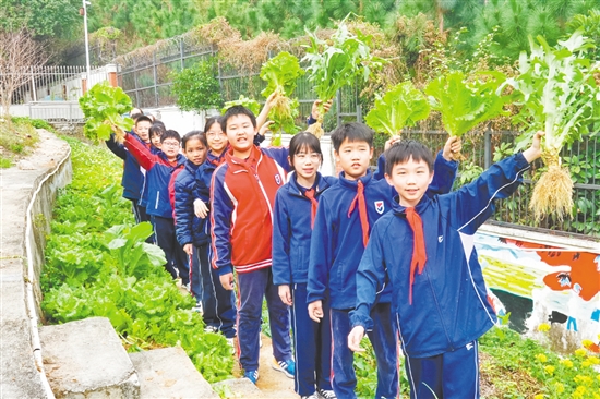 鹤山市碧桂园学校将劳动教育作为培养学生核心素养的重要内容。 鹤山市碧桂园学校将劳动教育作为培养学生核心素养的重要内容。