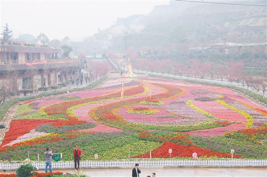 恩平花海欢乐世界是一个农业观光旅游项目，集自然观光、花卉观赏、休闲游玩、餐饮美食于一体。