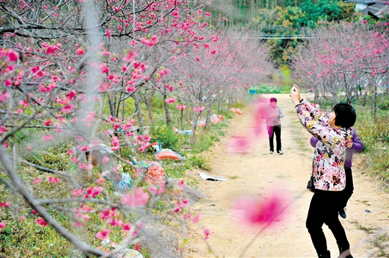 别错过了这些春游踏青的好地方它们,惊艳了春天