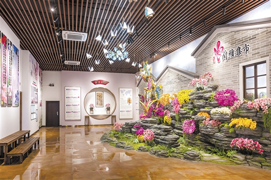 崖门镇打造的“兰苹集市”是一个花卉展销平台，内设兰花培育种植科普室。