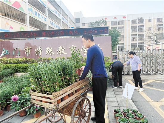 学生们搬运迎春花，为义卖作准备。