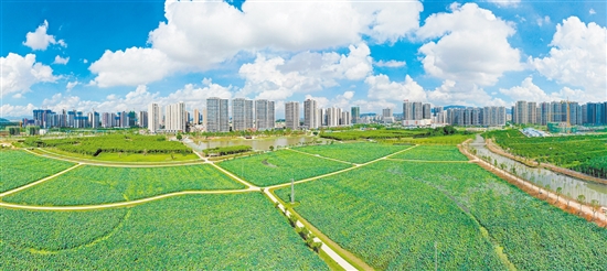 新会枢纽新城。郭永乐