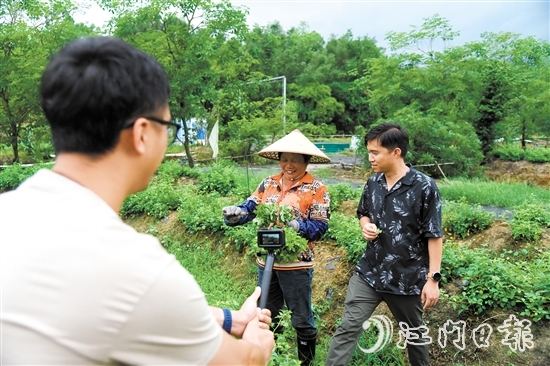李劲新（右一）常常利用短视频平台宣传恩平簕菜。