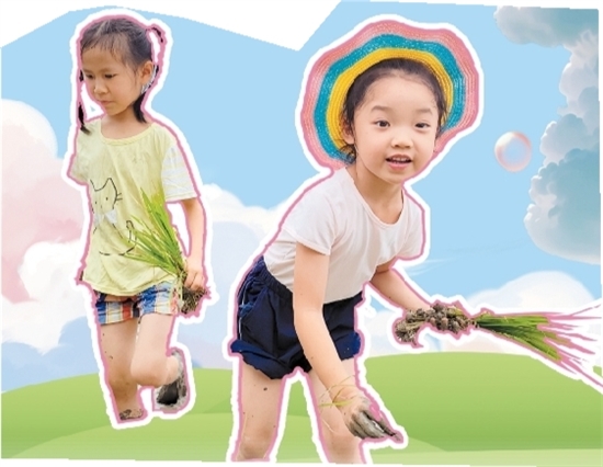 蓬江区第一幼儿园的小朋友们体验插秧。