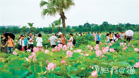 梅江农业生态园迎来大批市民游客前来打卡。