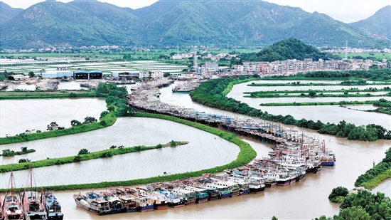 渔船有序停泊在横山渔港。