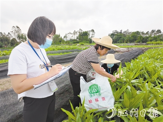 近期，恩平市农业农村局农产品质量监督检验测试中心工作人员根据上级要求，加大本地种养农产品抽检力度。